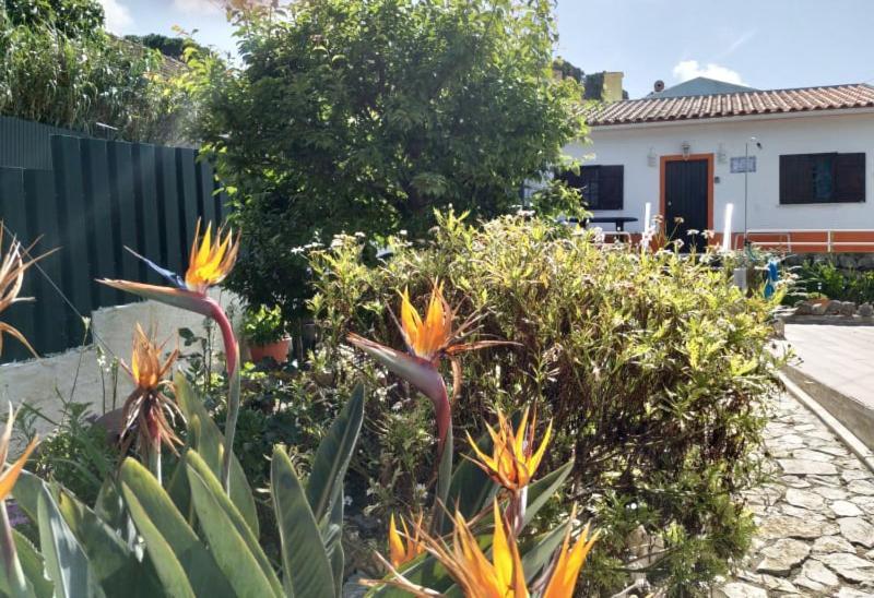 Casa De Campo Em Sesimbra Luaran gambar